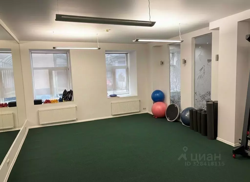 Помещение свободного назначения в Москва пер. Столешников, 9С3 (217 м) - Фото 1