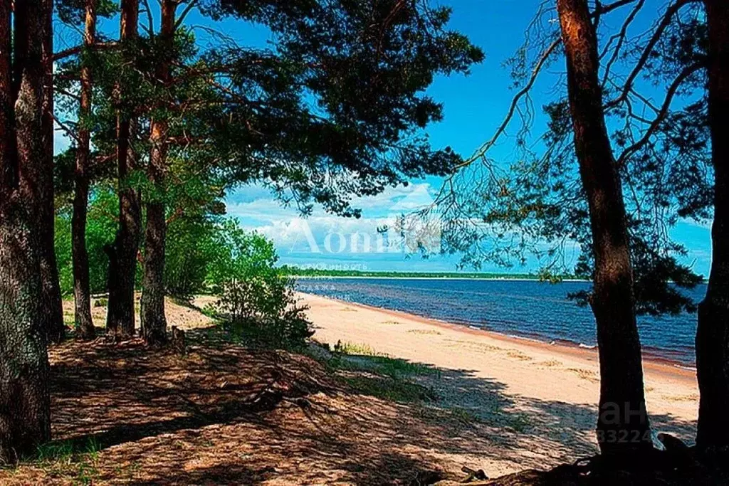 Участок в Ленинградская область, Всеволожский район, Морозовское ... - Фото 1