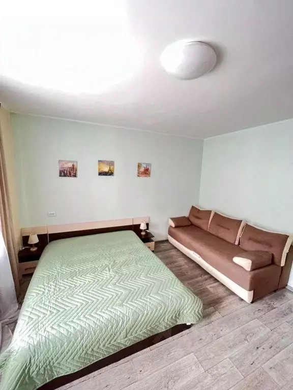 1-к кв. Красноярский край, Красноярск ул. Чернышевского, 114 (50.0 м) - Фото 1