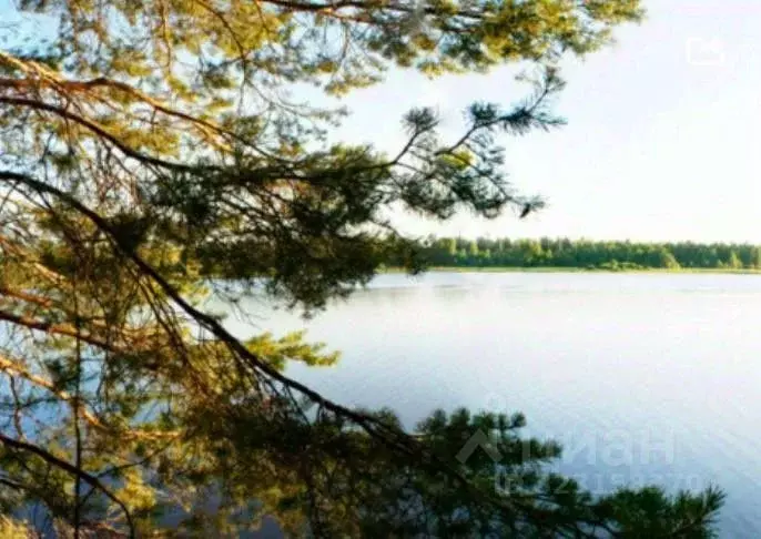 Участок в Иркутская область, Иркутский муниципальный округ, Роял Парк ... - Фото 2