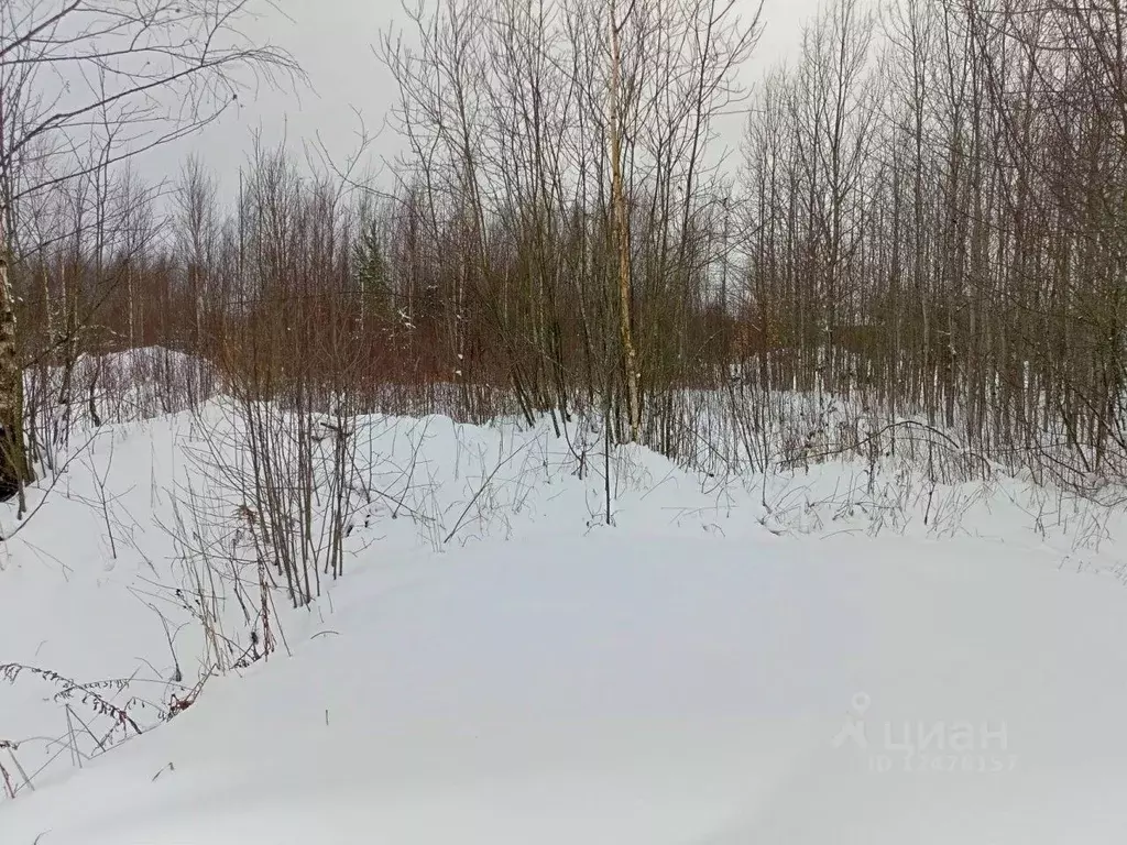 Участок в Ленинградская область, Кировский район, Синявинское ... - Фото 1