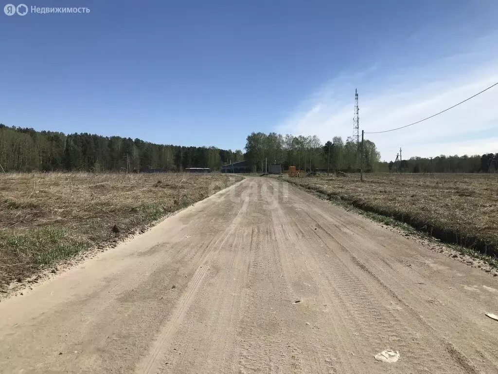 Участок в Тюменская область, село Нижняя Тавда (9.3 м) - Фото 1