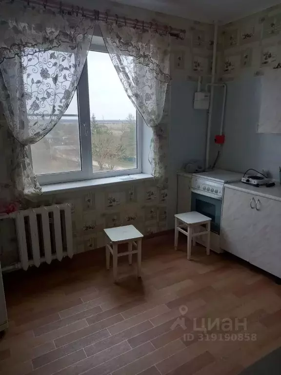 1-к кв. Новгородская область, Новгородский район, Борковское с/пос, д. ... - Фото 1