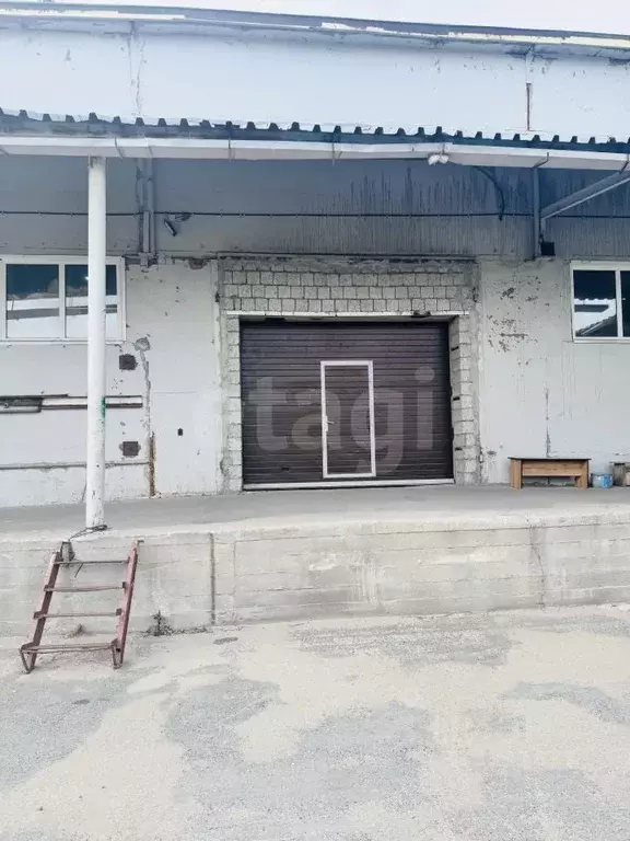 Склад в Тюменская область, Тюмень ул. Дружбы, 207с10 (556 м) - Фото 1