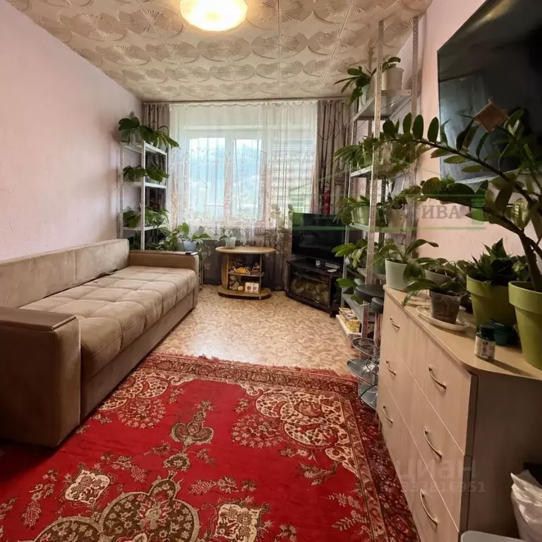 Студия Приморский край, Артем ул. Фрунзе, 54 (22.1 м) - Фото 1