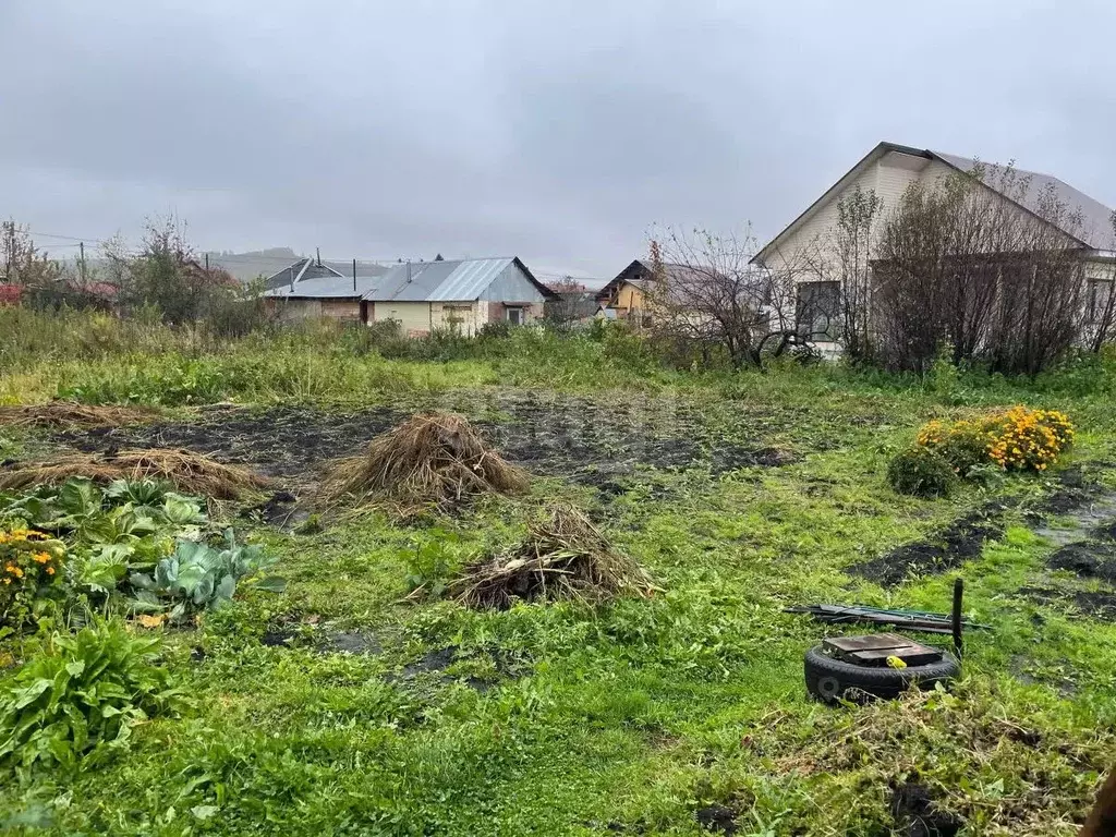 Дом в Алтай, Майминский район, с. Майма Алгаирская ул. (35 м) - Фото 1
