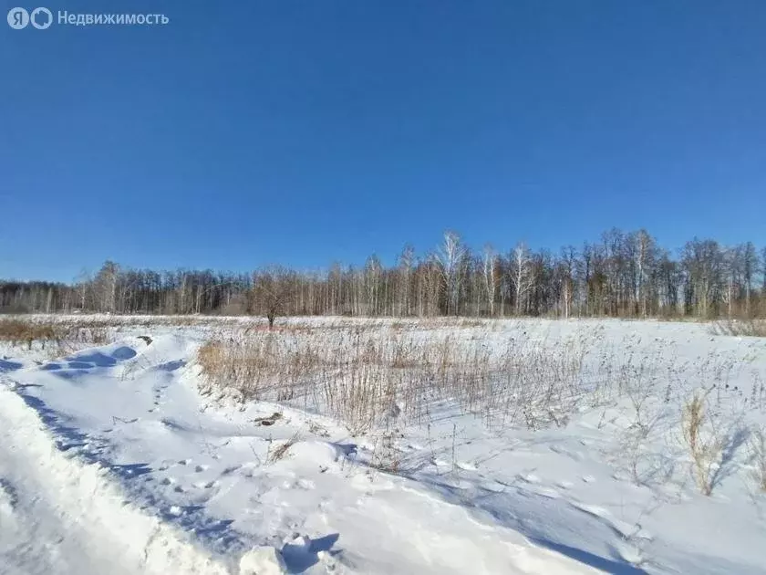 Участок в Тюмень, КП Свои (4 м) - Фото 0