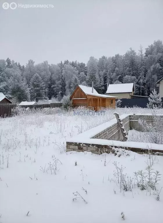 Участок в Нижегородская область, Городецкий муниципальный округ, ... - Фото 2