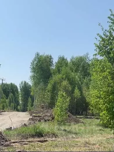 Участок в Новосибирская область, Новосибирский район, Кудряшовский ... - Фото 1