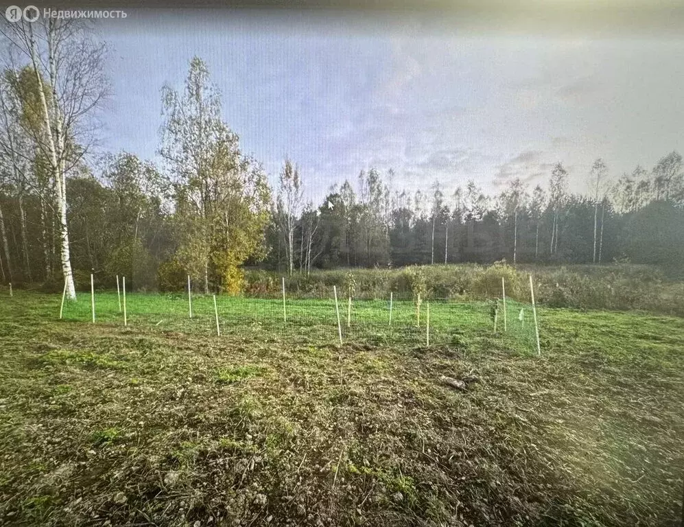 Участок в Савинское сельское поселение, деревня Рышево, Славянская ... - Фото 2
