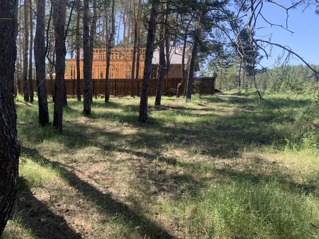 Участок в Самарская область, Красноярский район, Светлое Поле с/пос, ... - Фото 2