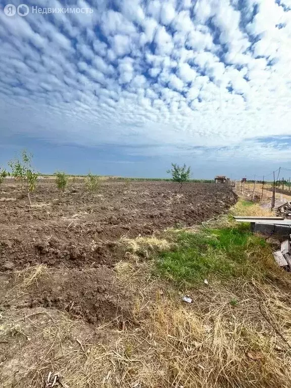 Участок в Дербентский район, сельское поселение Сабнова, село Сабнова ... - Фото 1