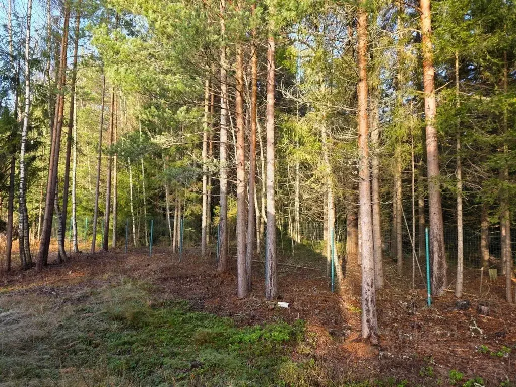 Дом в Карелия, Питкярантский район, д. Ууксу ул. Сплавная, 17В (130 м) - Фото 2