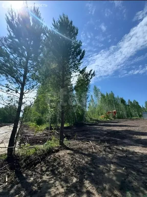 Участок в Станционный сельсовет, КП Аляска, улица Семёна Дежнева (11 ... - Фото 2