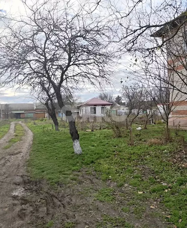 Участок в Кореновск, Киевская улица (3.7 м) - Фото 1