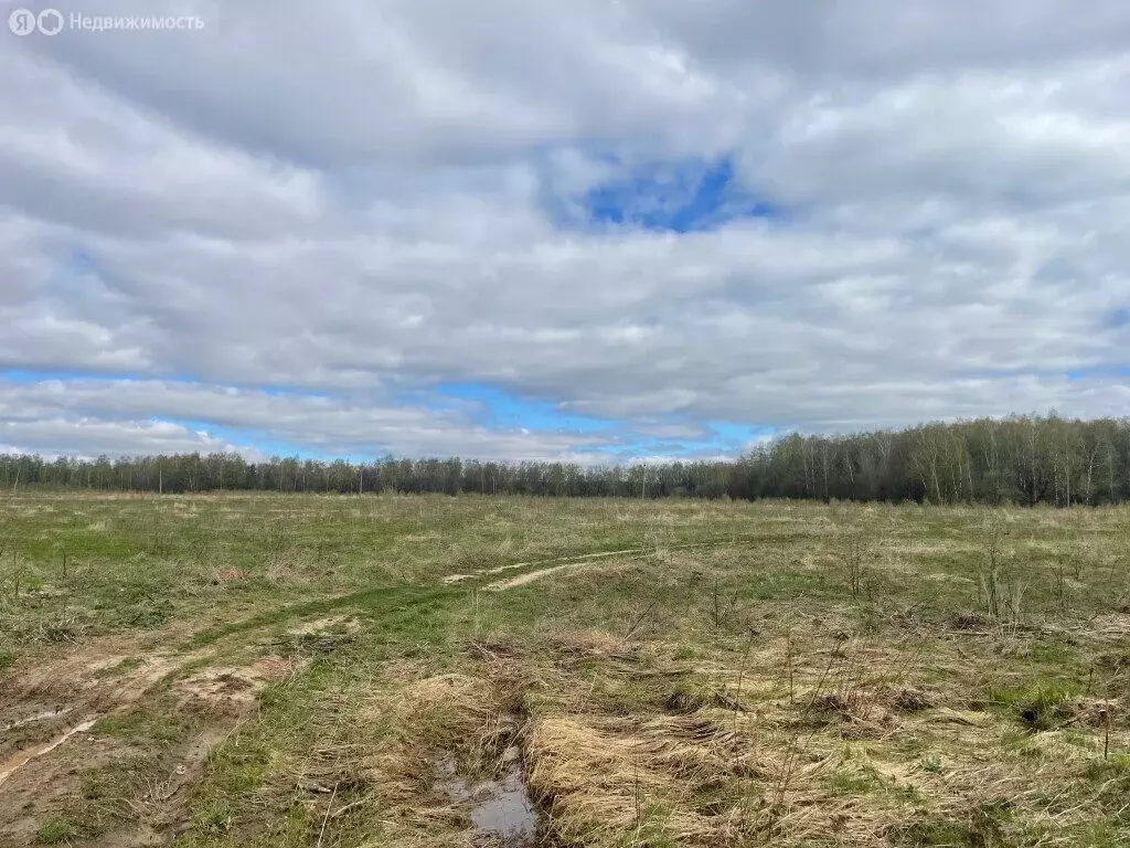 Участок в Владимирская область, Собинский муниципальный округ, село ... - Фото 1