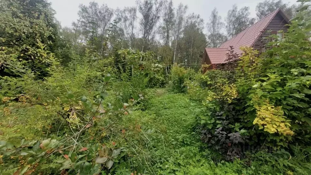 Участок в Владимирская область, Александровский муниципальный округ, ... - Фото 1