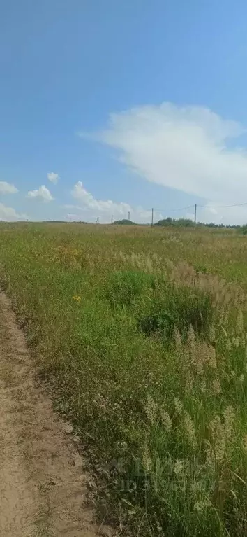 Участок в Нижегородская область, Дальнеконстантиновский муниципальный ... - Фото 2