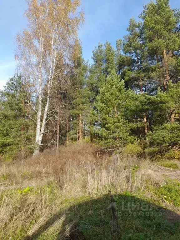 Участок в Ленинградская область, Выборгский район, Гончаровское с/пос, ... - Фото 2