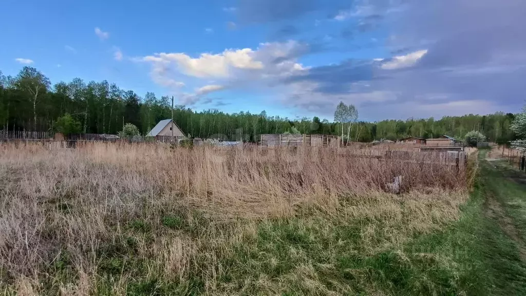 Участок в Красноярский край, Березовский район, Есаульский сельсовет, ... - Фото 0