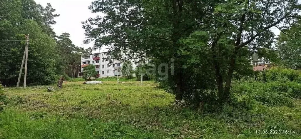 Участок в Калужская область, Перемышльский муниципальный округ, с. ... - Фото 2