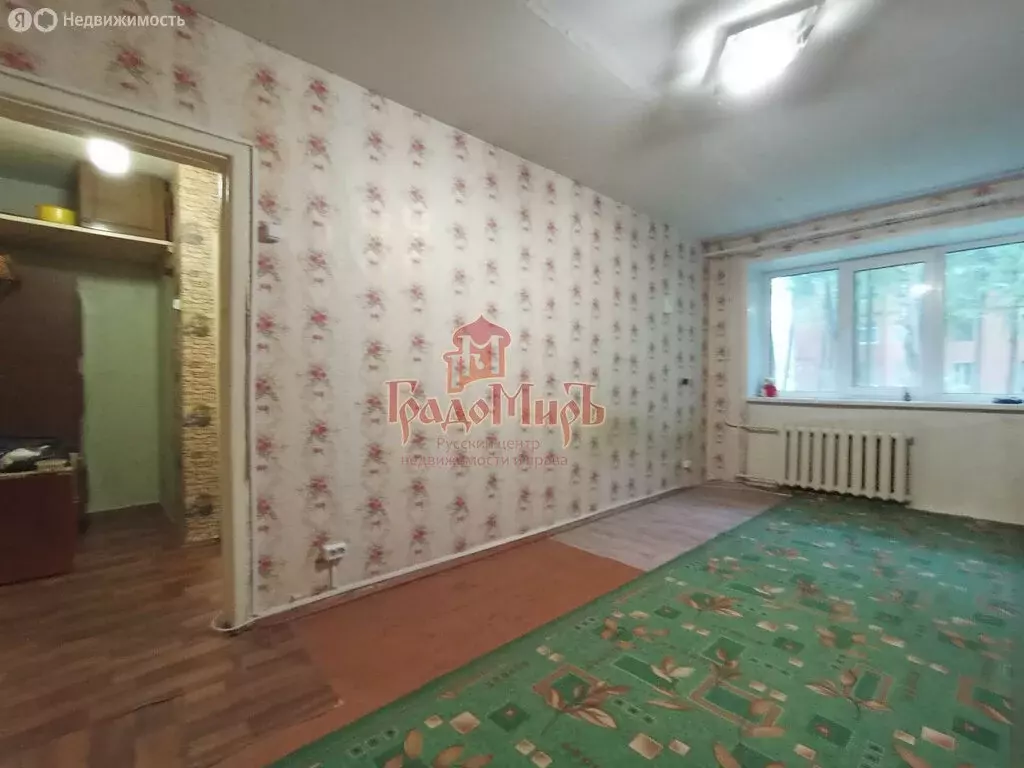 1-комнатная квартира: Карабаново, улица Мира, 1 (29.1 м) - Фото 1