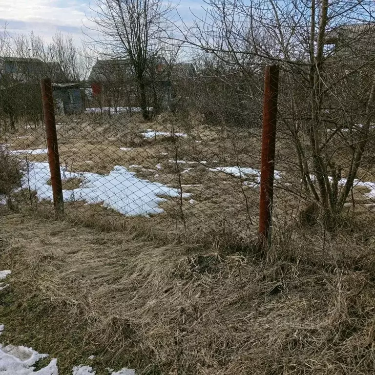 Участок в Воронежская область, Новоусманский район, Орловское с/пос, ... - Фото 1