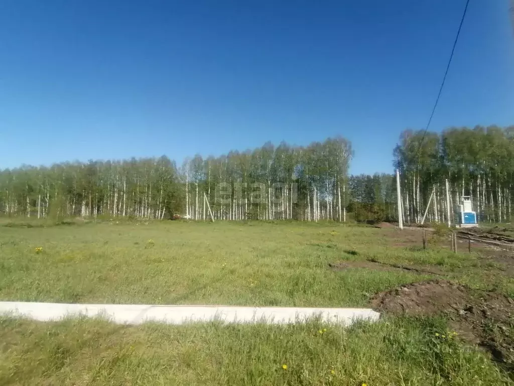 Участок в Свердловская область, Полевской муниципальный округ, с. ... - Фото 1