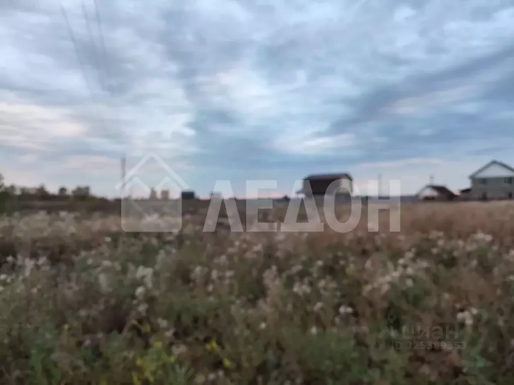 Участок в Омская область, Омский район, Надеждинское с/пос, д. ... - Фото 1