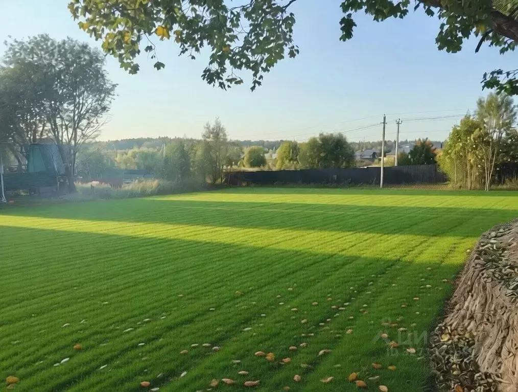 Участок в Московская область, Истра муниципальный округ, д. Ефимоново ... - Фото 1
