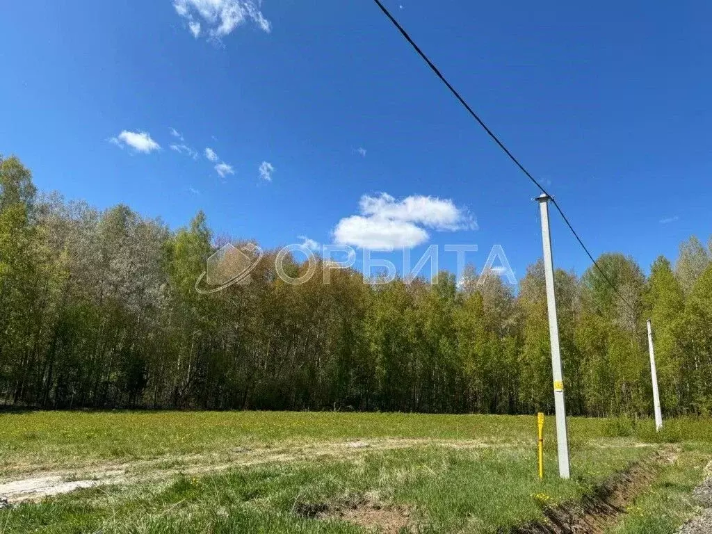 Участок в Тюменская область, Тюменский район, с. Кулига, Сказка кп ул. ... - Фото 0