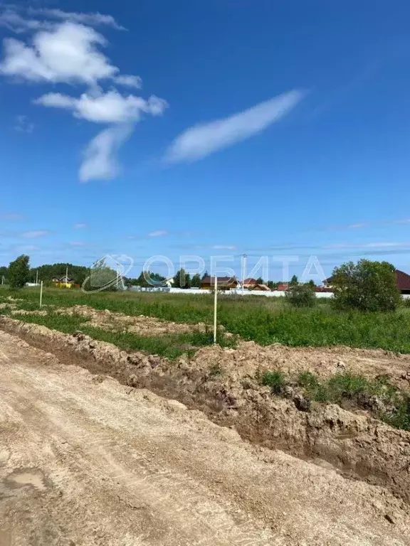 Участок в Тюменская область, Нижнетавдинский район, д. Штакульская  ... - Фото 1