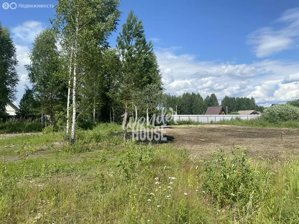 Участок в Нижнетавдинский район, садоводческое некоммерческое ... - Фото 1
