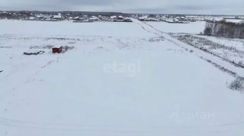 Участок в Тюменская область, Тюменский муниципальный округ, с. Борки ... - Фото 1