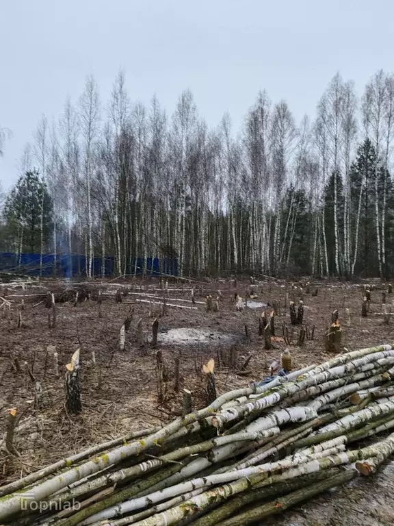 Участок в Рязанская область, Рязанский район, пос. Мурмино ул. ... - Фото 2
