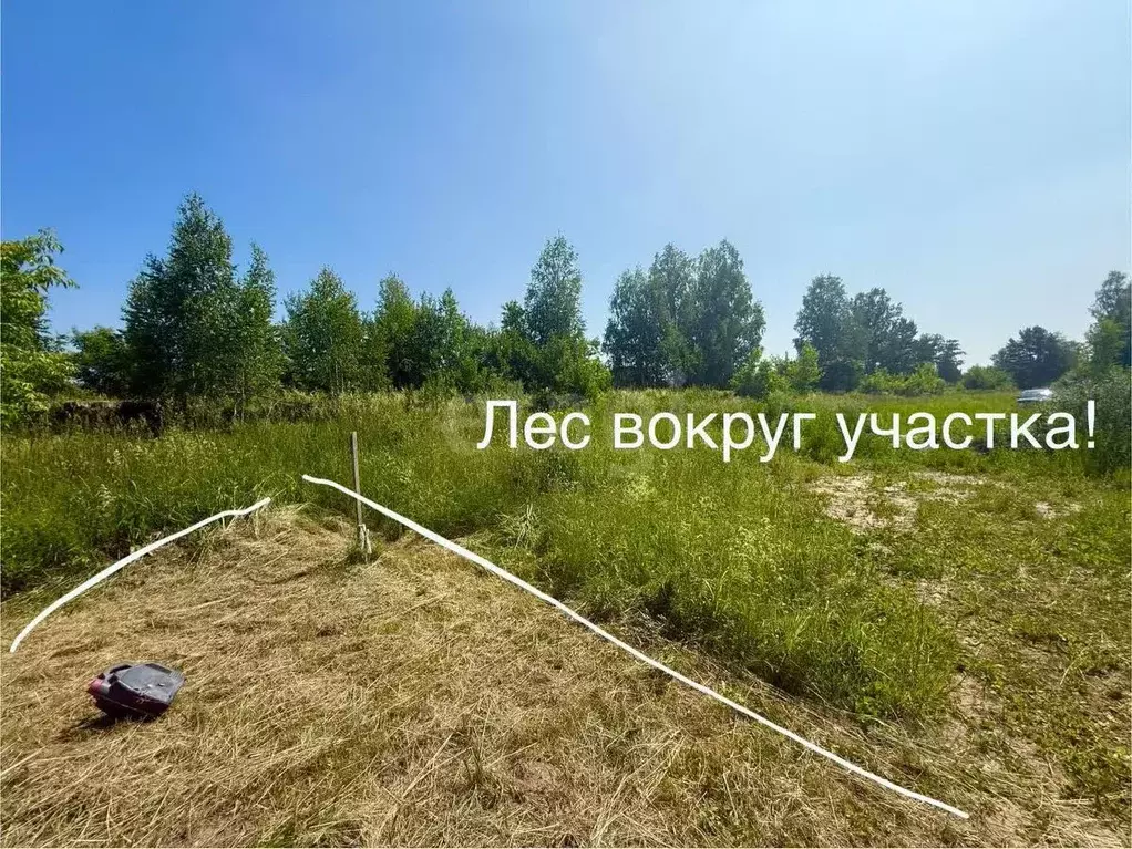 Участок в Новосибирская область, Новосибирский район, Станционный ... - Фото 0