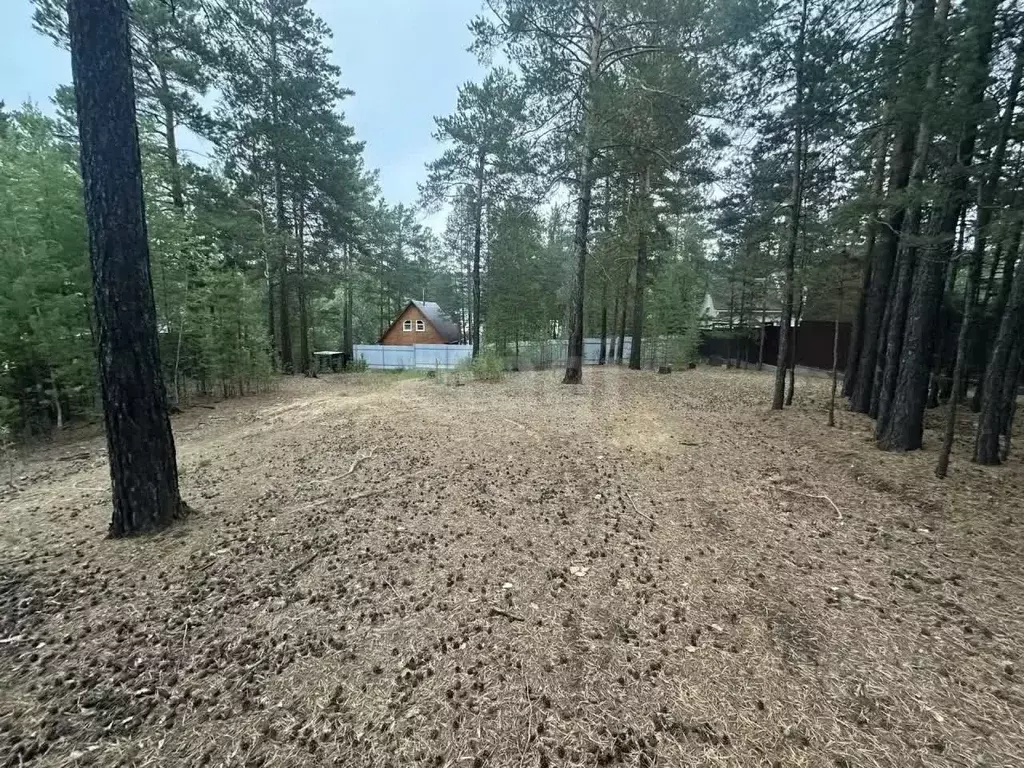 Участок в Забайкальский край, Читинский район, Атамановка пгт ул. 2-я ... - Фото 2