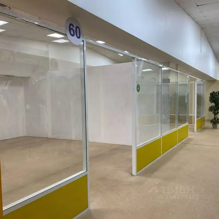 Торговая площадь в Коми, Сыктывкар ул. Куратова, 73/6 (400 м) - Фото 2