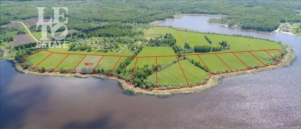 Участок в Ярославская область, Угличский муниципальный округ, д. ... - Фото 1