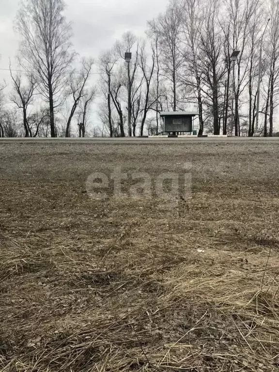 Участок в Брянская область, Брянский район, Отрадненское с/пос, с. ... - Фото 1