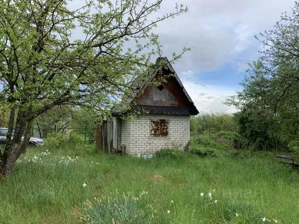 Участок в Нижегородская область, Павловский район, № 4 ПАЗ СТ  (6.0 ... - Фото 0