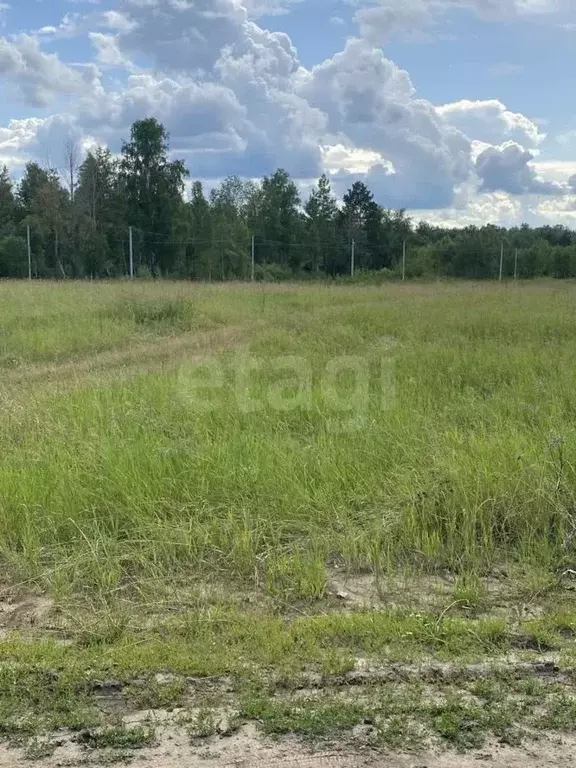Участок в Тюменская область, Тюменский муниципальный округ, ... - Фото 1