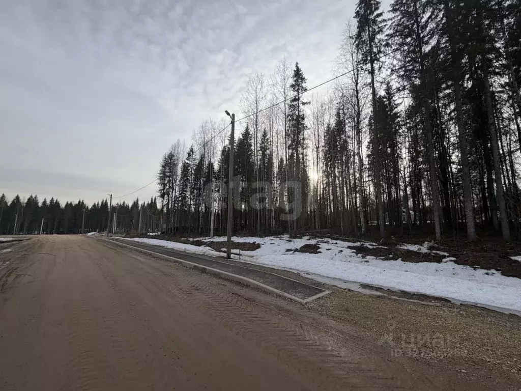 Участок в Коми, Сыктывкар ул. 10-я Линия (12.74 сот.) - Фото 2