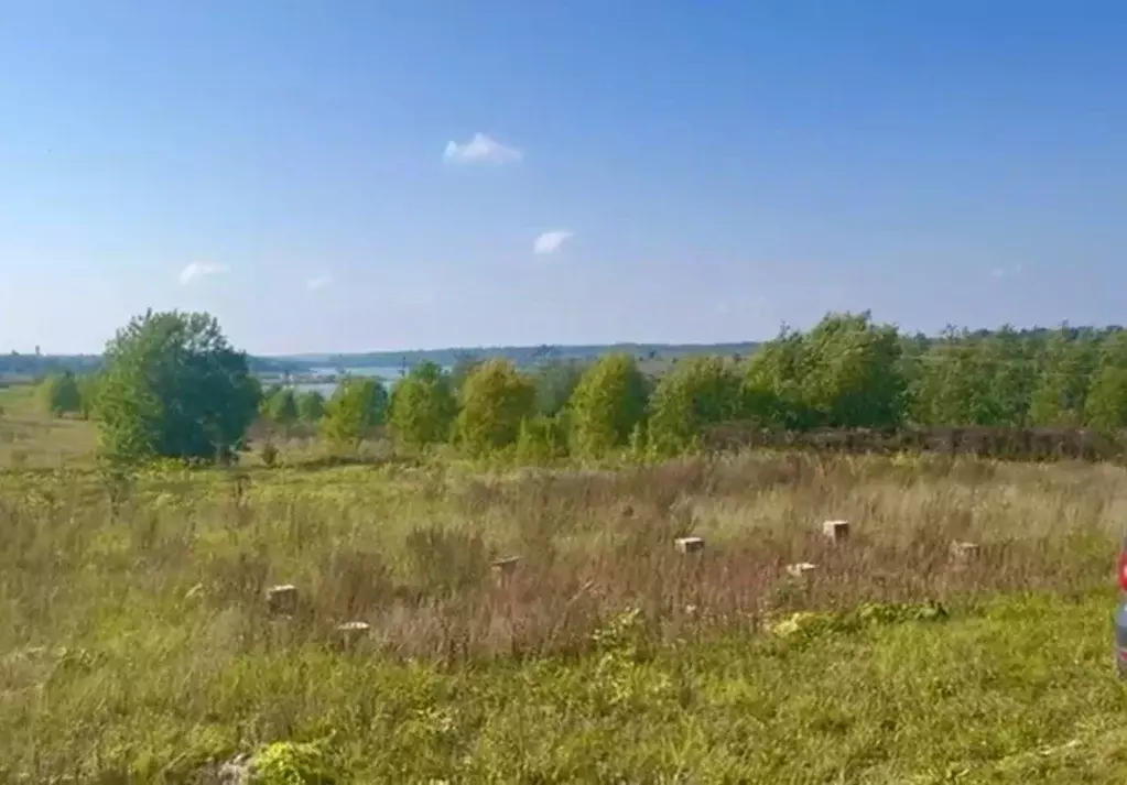 Участок в Ленинградская область, Лужский район, Ям-Тесовское с/пос, д. ... - Фото 2