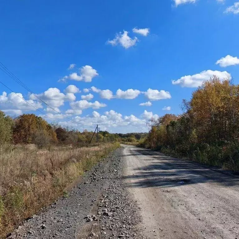 Участок в Хабаровский край, Хабаровский район, Тополевское с/пос, с. ... - Фото 0