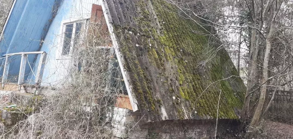 Дом 20 м на участке 25 сот. - Фото 1