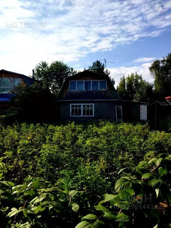 Дом в Новосибирская область, Колыванский район, Вертолет СНТ ул. ... - Фото 1