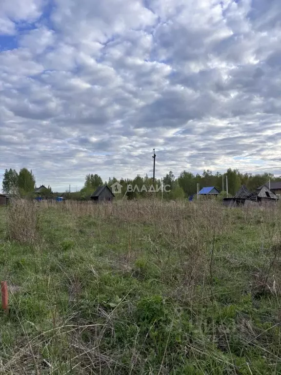 Участок в Владимирская область, Ковровский район, Новосельское с/пос, ... - Фото 1