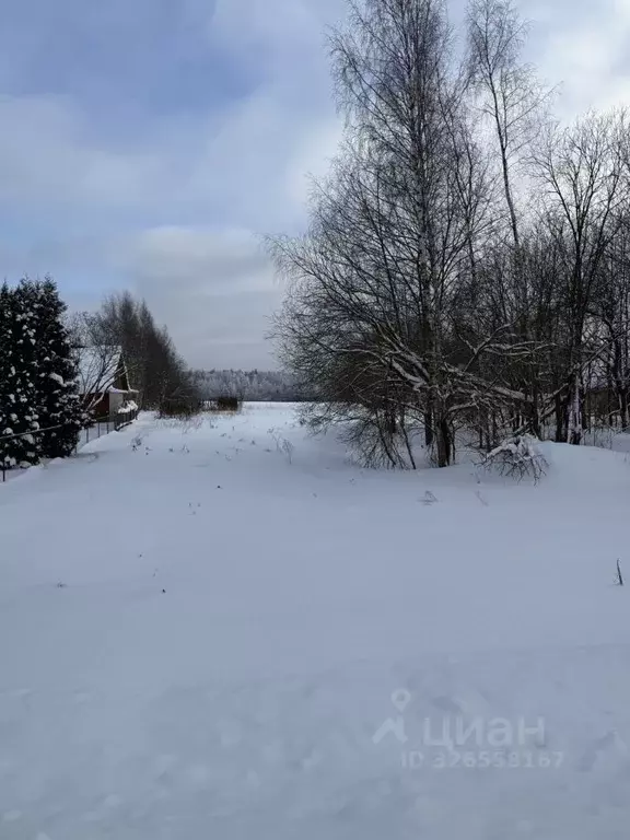 Участок в Тверская область, Конаковский муниципальный округ, д. Пенье  ... - Фото 1