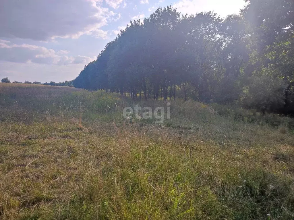 Участок в Брянская область, Брянск ул. Тенишевой (10.0 сот.) - Фото 1